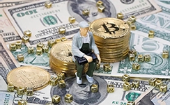 晋江市委书记张文贤到泉州综保区调研